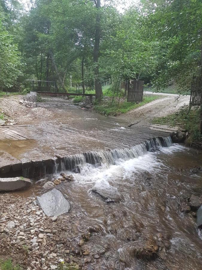 Pensiunea Valea Tonii Strungari المظهر الخارجي الصورة